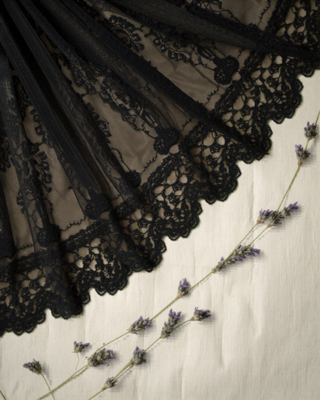 Panties & Shapewear — Velvet